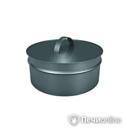 Заглушки Теплов и Сухов Заглушка ревизии Термо-Р 304 0.5 D220(120) в Туле